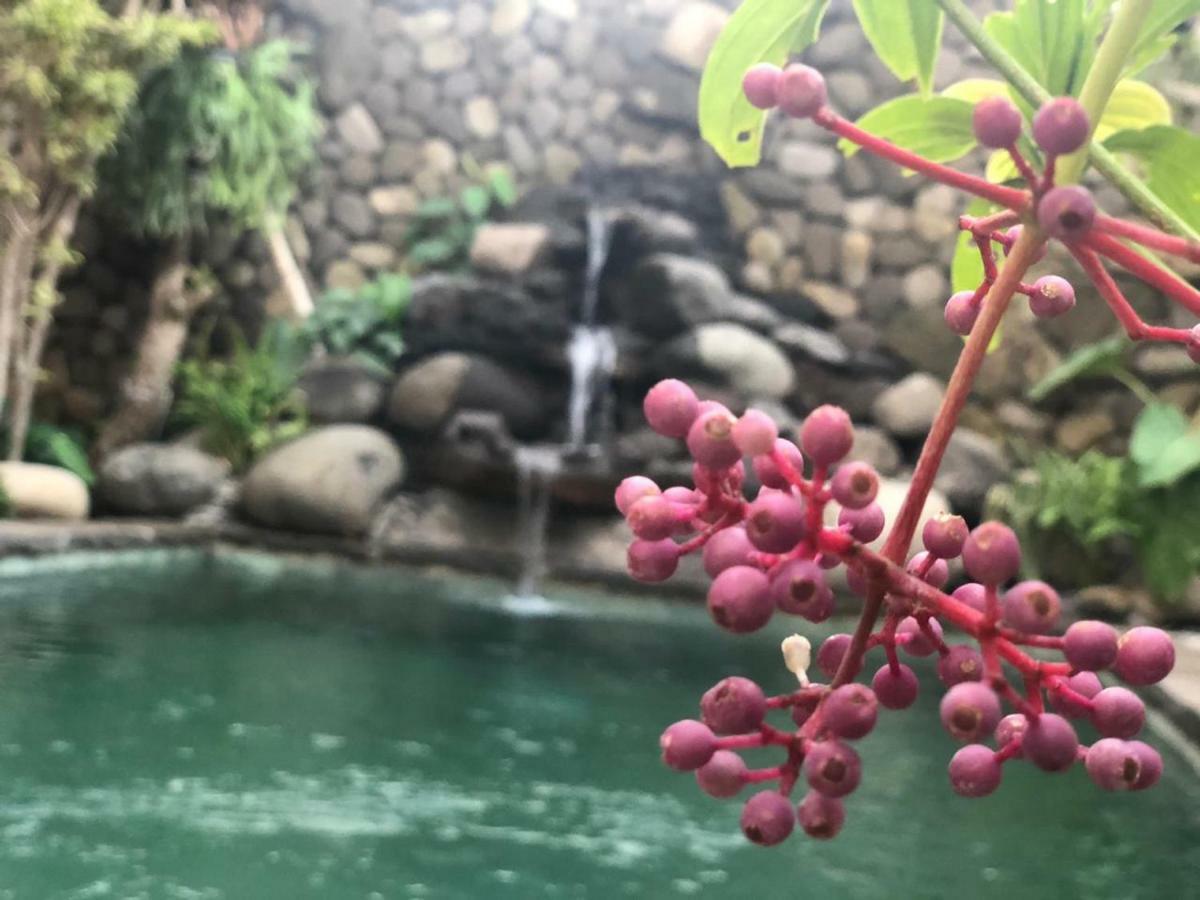 Melati Bali 2 Hotel Canggu Kültér fotó