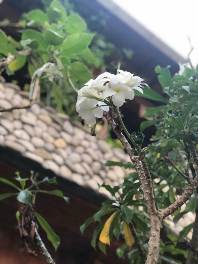 Melati Bali 2 Hotel Canggu Kültér fotó