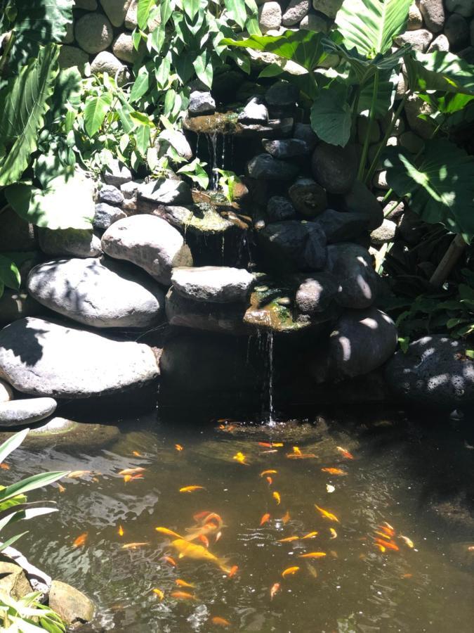 Melati Bali 2 Hotel Canggu Kültér fotó